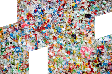 Environmental Health