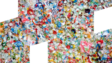 Environmental Health