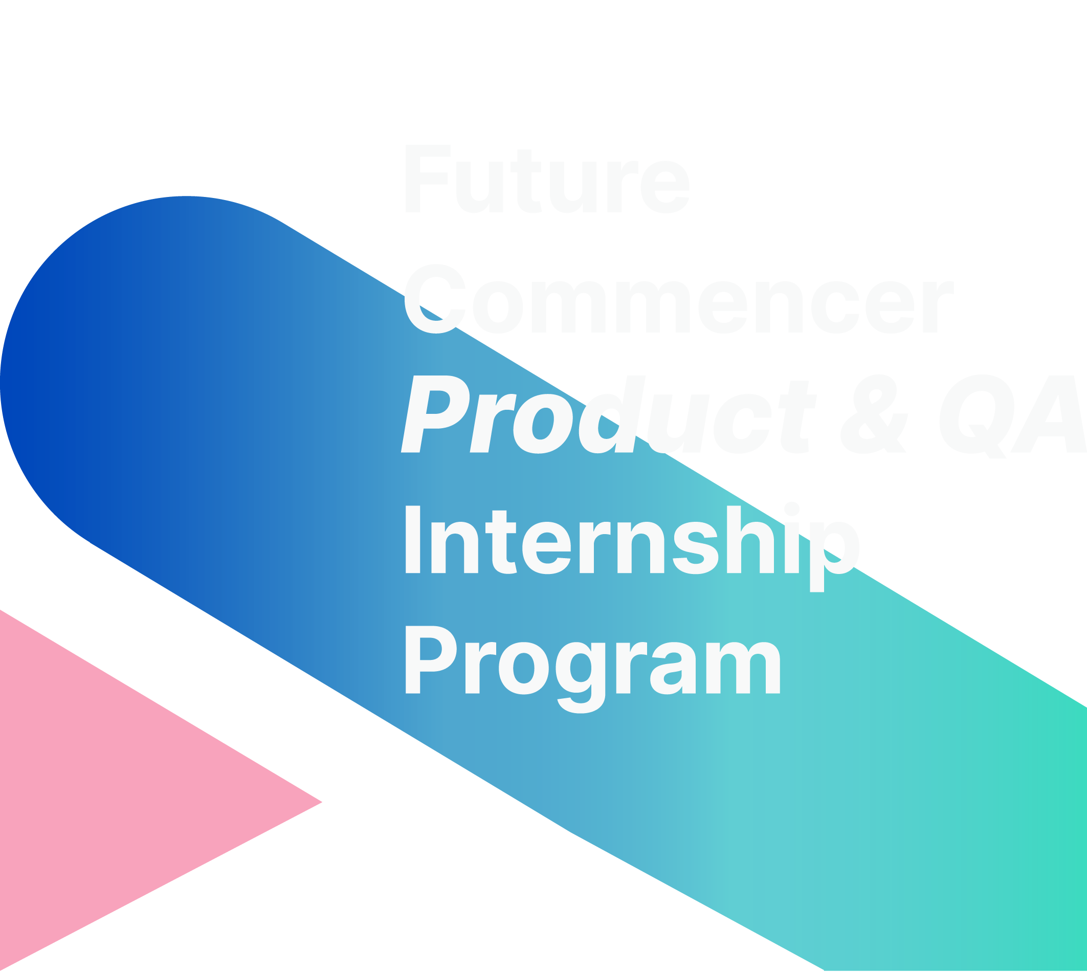 Future Commencer Internship Program 2023