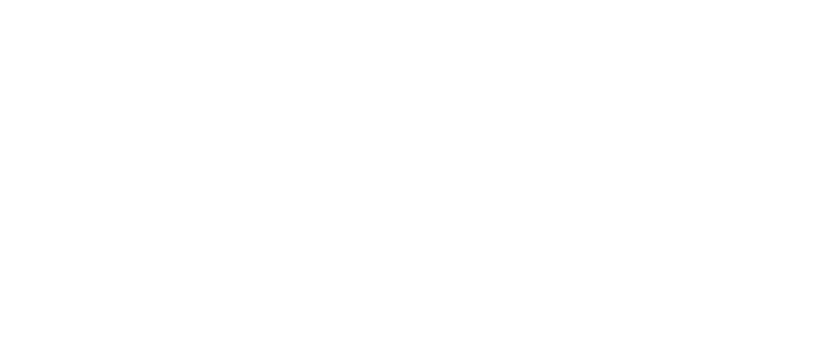 Forte logo