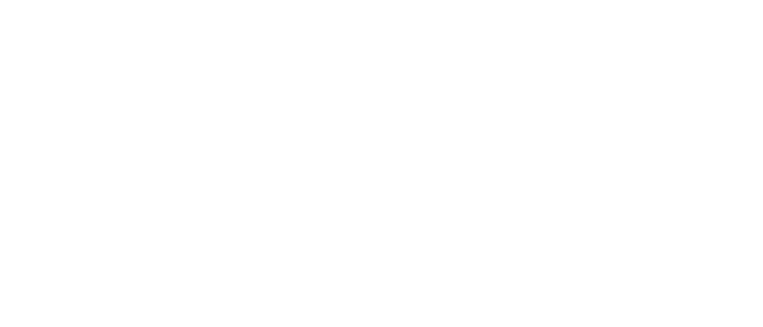 DenizBank logo white