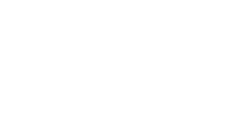 Pegasus logo in white lettering on a dark green background.