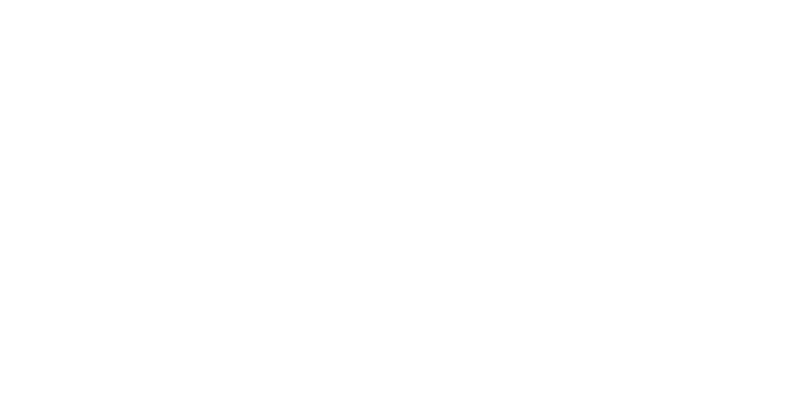 Logo - Air Astana
